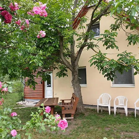 木屋 Peaceful Cottage, Close To Nature, Town And Bus