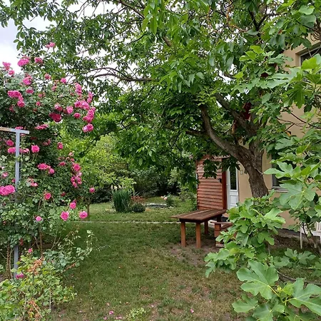 木屋 Peaceful Cottage, Close To Nature, Town And Bus